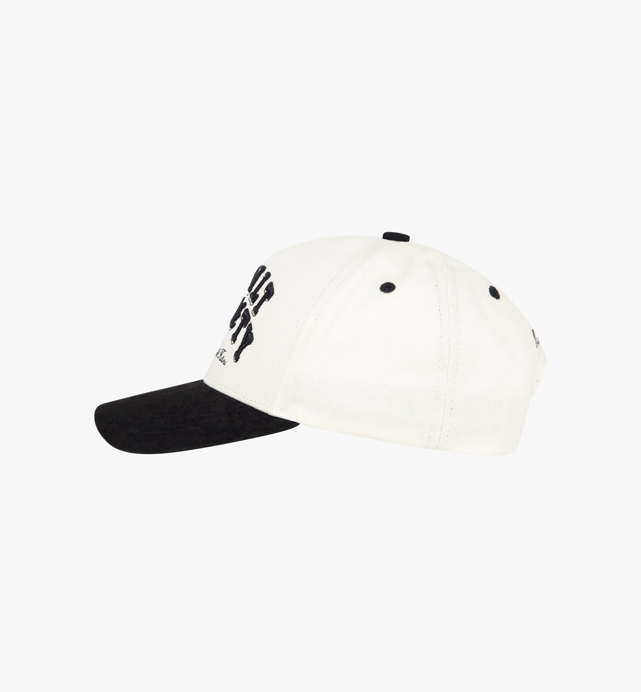 Cap Vision II-2